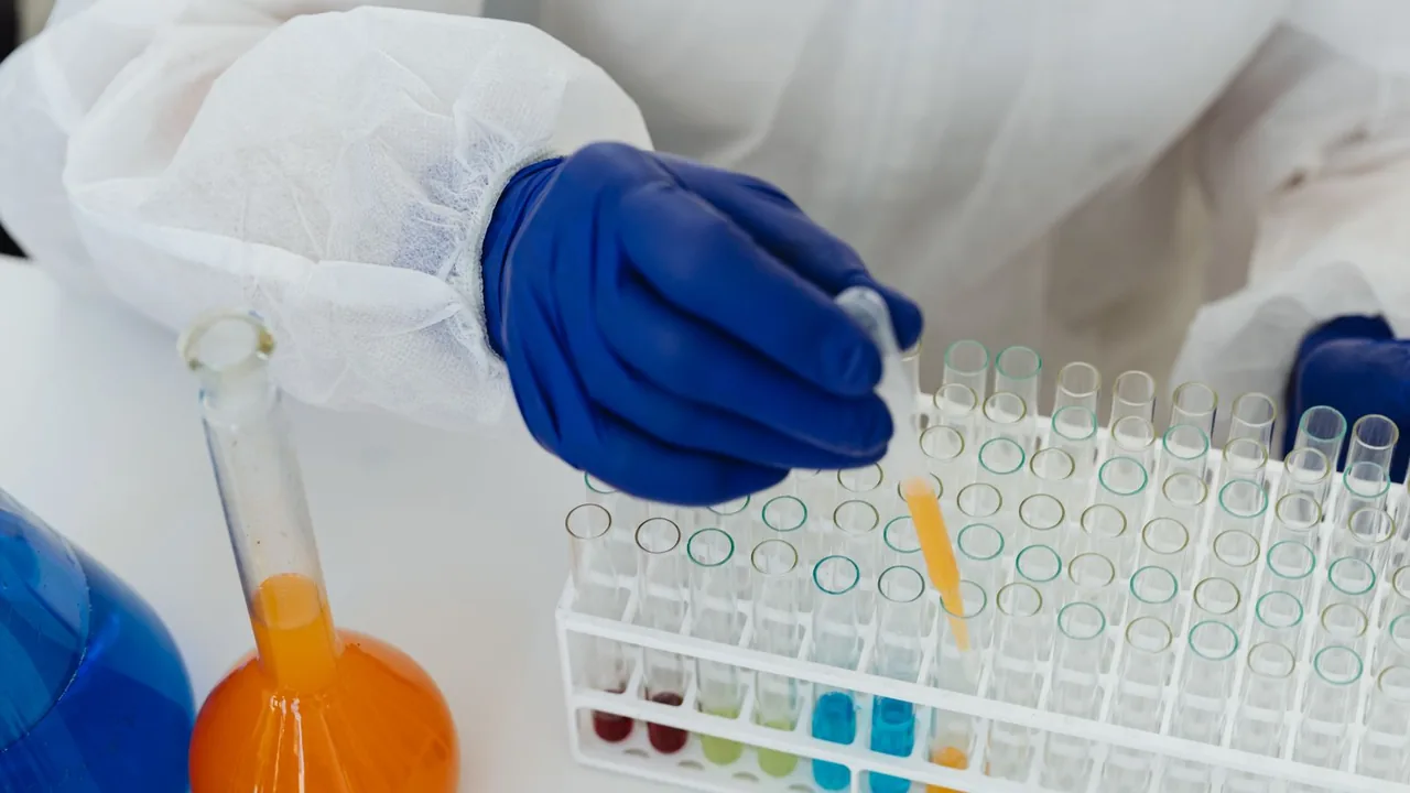 Gloved lab technician pipetting liquid samples into test tubes